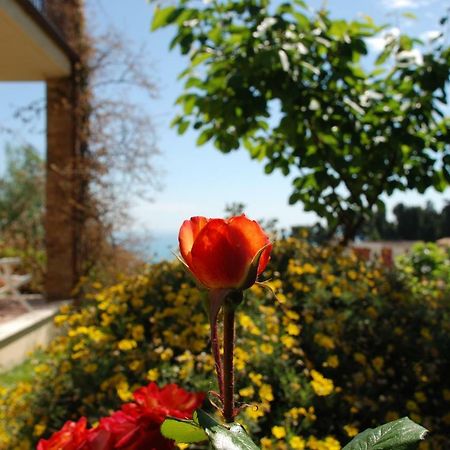 Bed & Breakfast Latteletto Tortoreto Ngoại thất bức ảnh