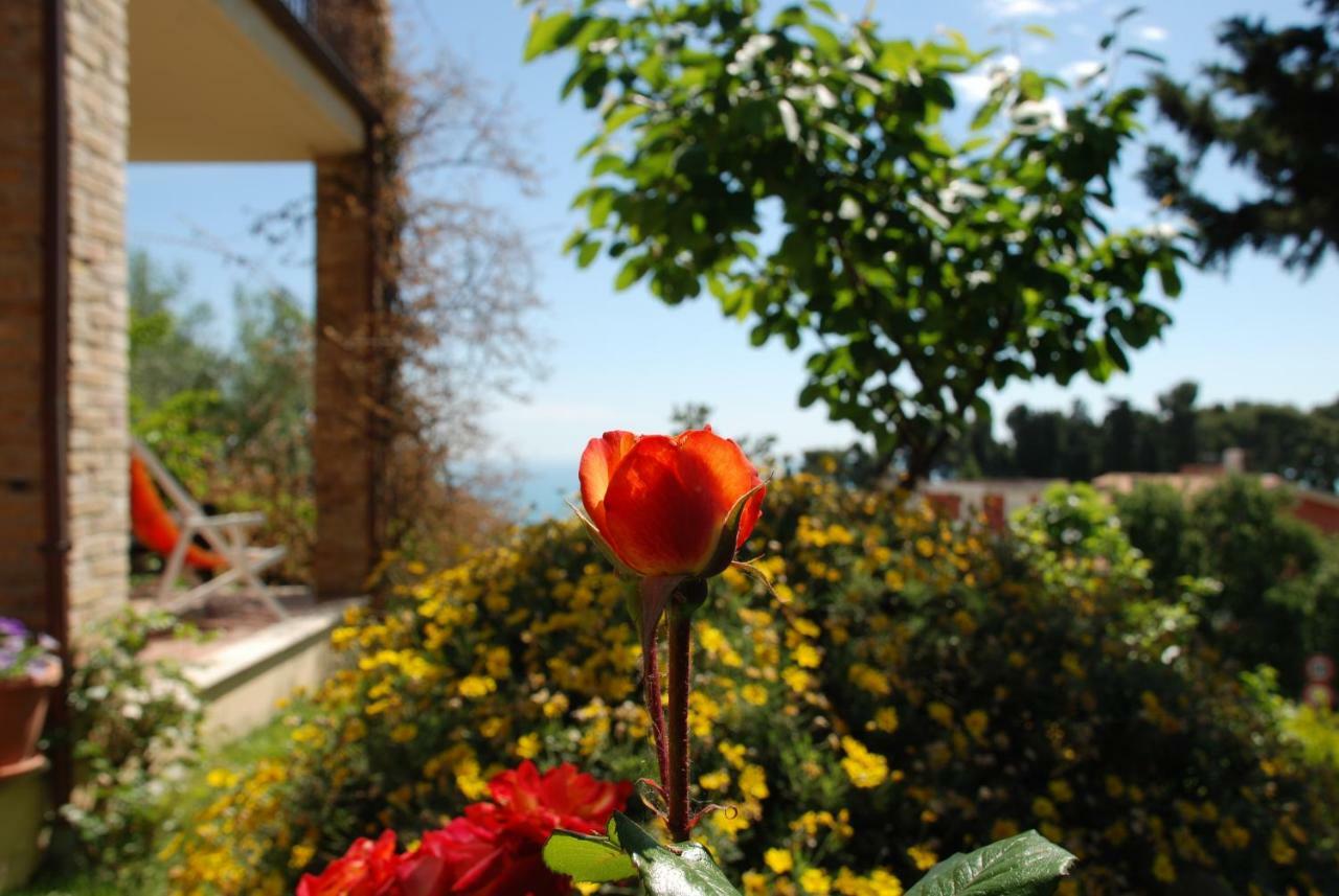 Bed & Breakfast Latteletto Tortoreto Ngoại thất bức ảnh